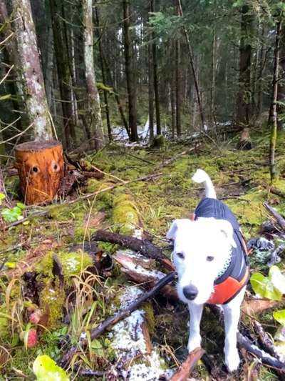 27. Handy Fotochallenge-Beitrag-Bild