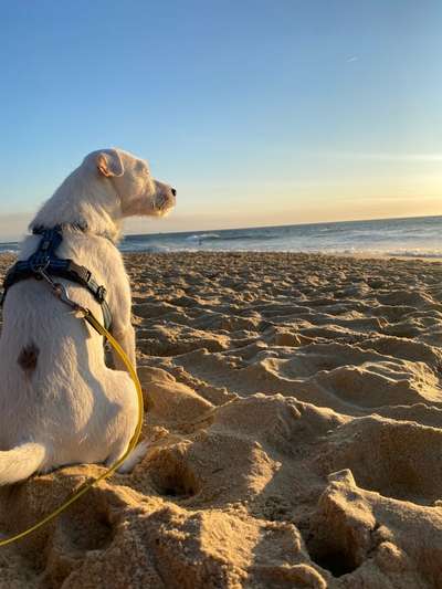 Außergewöhnliche Merkmale-Beitrag-Bild