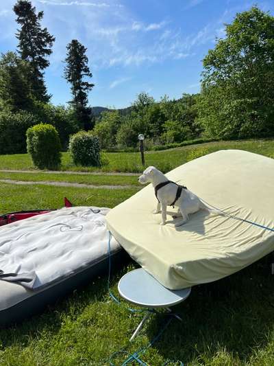 Moviestar-Pics!-Beitrag-Bild