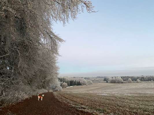 14. Collagen Challenge- Sonnenaufgang & -Untergang-Beitrag-Bild