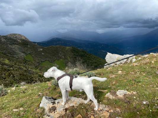 Fotochallenge Glanzbilder,du glänzt so schön-Beitrag-Bild