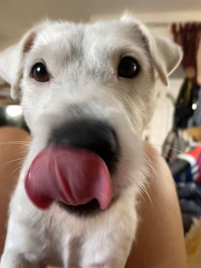 28. Handy-Fotochallenge - Damals und heute-Beitrag-Bild