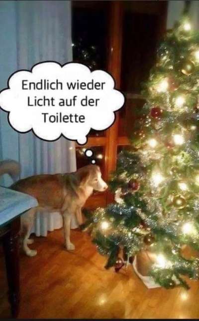 Fotochallenge 113: Auf frsicher Tat ertappt-Beitrag-Bild