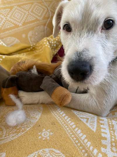 Außergewöhnliche Merkmale-Beitrag-Bild