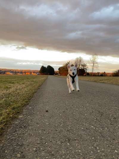 14. Collagen Challenge- Sonnenaufgang & -Untergang-Beitrag-Bild
