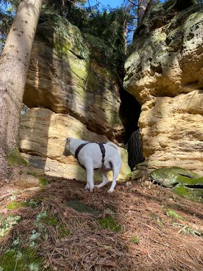 Foto-Challange No.1 - Alles aber nicht die Kamera-Beitrag-Bild