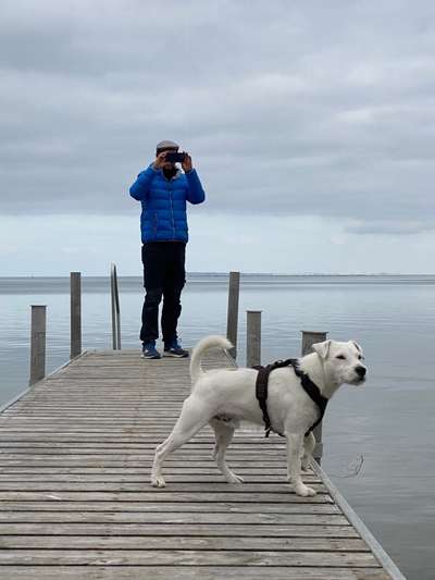 Doppelgänger gesucht !-Beitrag-Bild