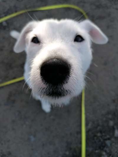 Von oben-Beitrag-Bild