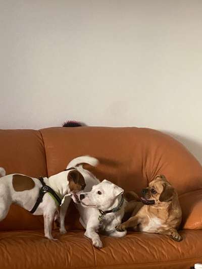 Fotochallenge 69-Beitrag-Bild