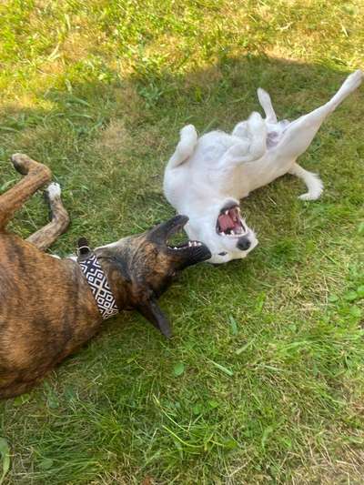 "Die eingefangene Magie des Augenblicks"-Beitrag-Bild