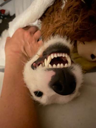 Handy-foto Challange nr. 11-Beitrag-Bild