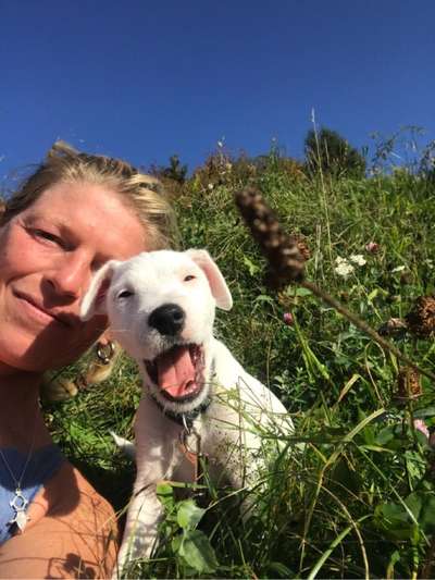 Dogorama Photo Challenge - Selfie Time!-Beitrag-Bild