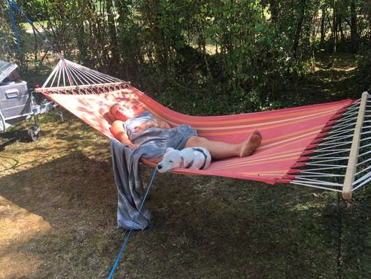 Vertrauen zwischen Hund und Halter-Beitrag-Bild