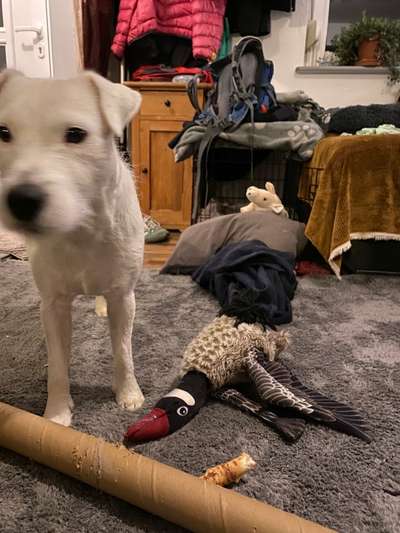 Handy-Foto Challange Nr. 12-Beitrag-Bild