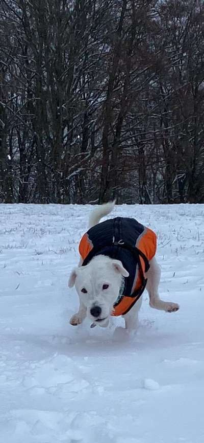 Fotochallenge 61 ~ Schnee-Beitrag-Bild