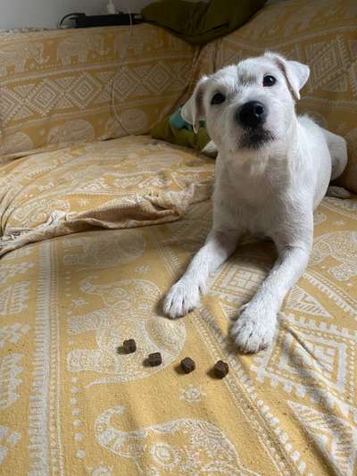 Handy-Foto Challange Nr. 10-Beitrag-Bild