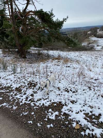 Ton in Ton-Beitrag-Bild