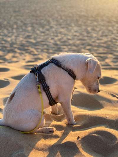 Fotochallenge Nr.100 Urlaubsimpressionen-Beitrag-Bild