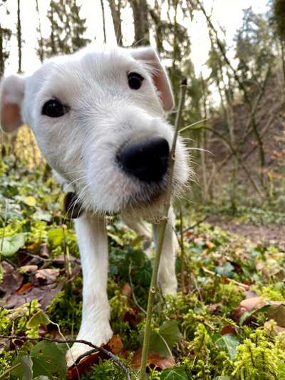 Fotochallenge Nr. 67: Euer Lieblingsbild-Beitrag-Bild