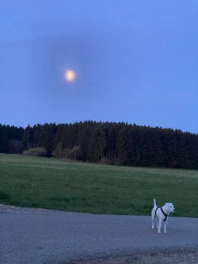 14. Collagen Challenge- Sonnenaufgang & -Untergang-Beitrag-Bild