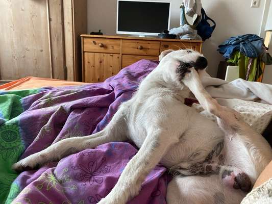 Fotochallenge Nr.65-Beitrag-Bild