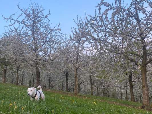 Fotowettbewerb Natur-Beitrag-Bild