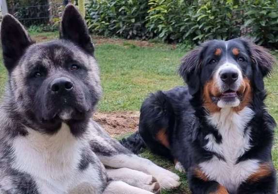 Zeigt eure Portraits-Beitrag-Bild