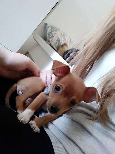 Das erste Foto-Beitrag-Bild