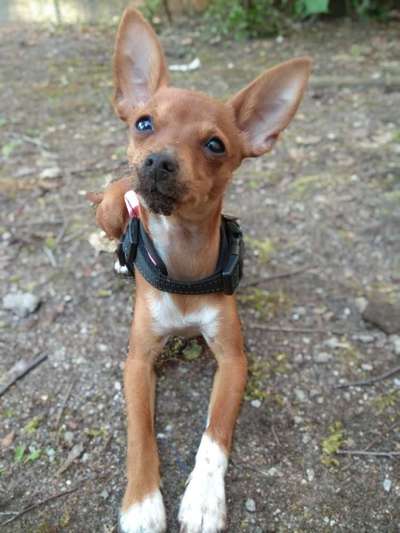 Zeigt mir doch mal eure Dreckspätze-Beitrag-Bild