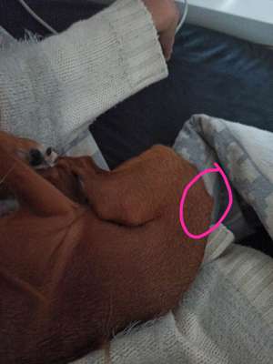 Ist das normal?-Beitrag-Bild