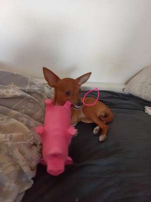 Ist das normal?-Beitrag-Bild