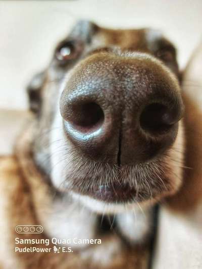 Fotochallenge No. 5-Beitrag-Bild