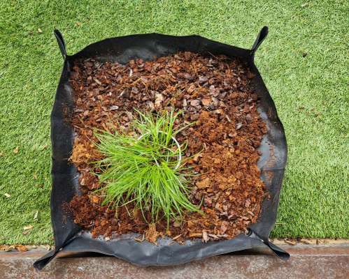 Erfahrungen mit Hundeklo für Rüden?-Beitrag-Bild