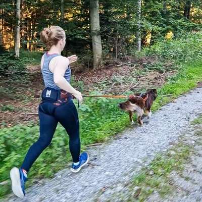 Hundetreffen-Canicross (Einsteiger)-Bild