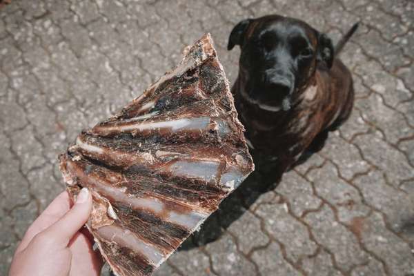 Knochen Zahnfleisch Rötungen-Beitrag-Bild