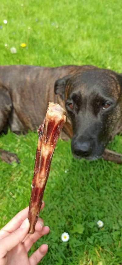 Natürliche Kauartikel-Beitrag-Bild