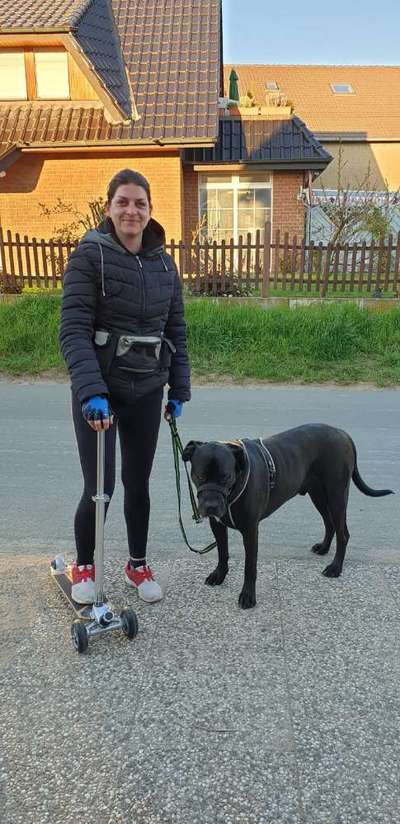 Radfahren mit Hund-Beitrag-Bild