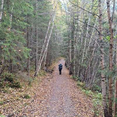 aktuelles Foto Gruppe Wandern und Outdoor