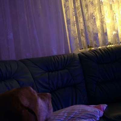 Wie habt ihr den Silvesterabend verbracht?-Beitrag-Bild