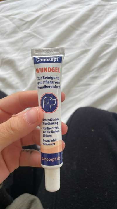 Hundeangriff Wunde-Beitrag-Bild