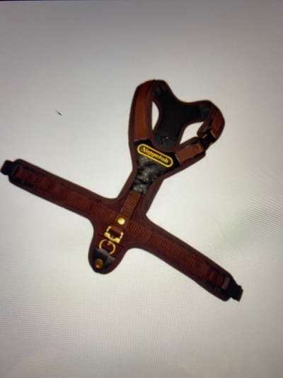 Hundegeschirr fürs Wandern-Beitrag-Bild