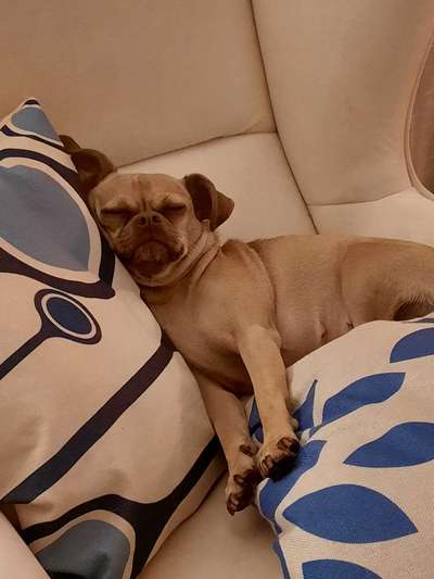 Foto Challenge Nr. 134-Beitrag-Bild