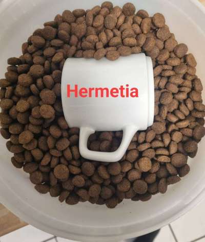 An alle Vet Conzept Ziege fütterer ich habe da mal ein anliegen-Beitrag-Bild