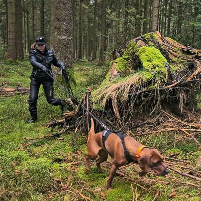 Giftköder-Mantrailing/Personensuche-Bild