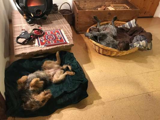 CHALLENGE NR. 34 - Liege-/Schlafpositionen-Beitrag-Bild