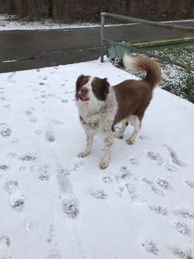 20. Handy -Foto-Callenge-Beitrag-Bild