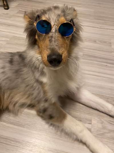 Hier ist der Spaßthread. Zum Schmunzeln und Kaputtlachen-Beitrag-Bild