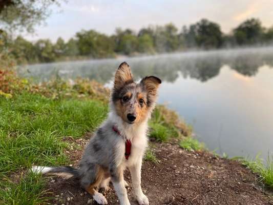 Doppelgänger gesucht !-Beitrag-Bild