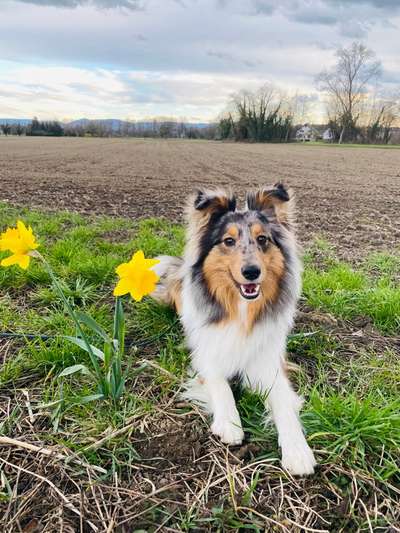 Fotochallenge Nr. 126-Beitrag-Bild