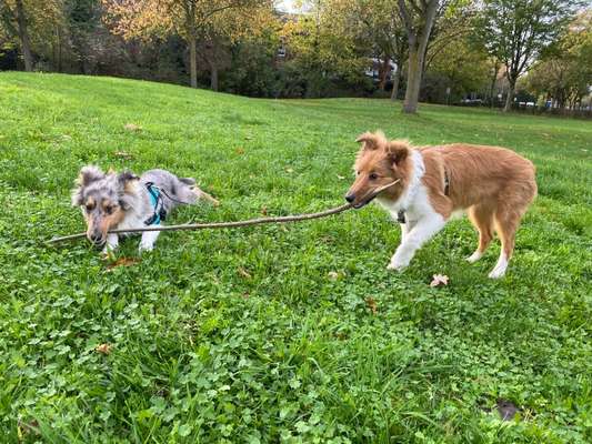 Foto Challenge Nr.: 115-Beitrag-Bild